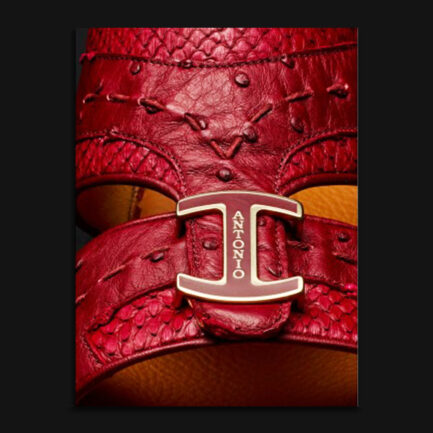 002/18 OSTRICH/PYTHON_BORDO