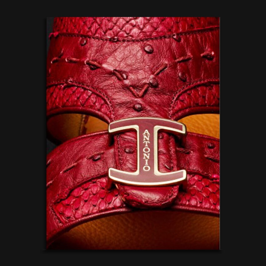 002/18 OSTRICH/PYTHON_BORDO