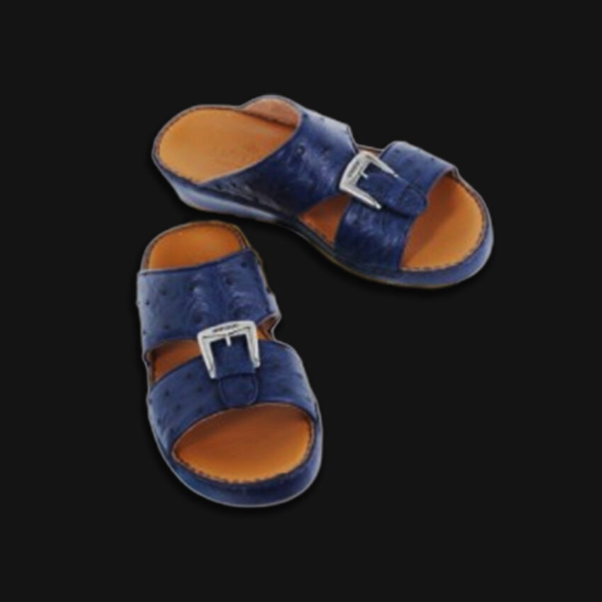 493 CERVO - ISRIS BLUE